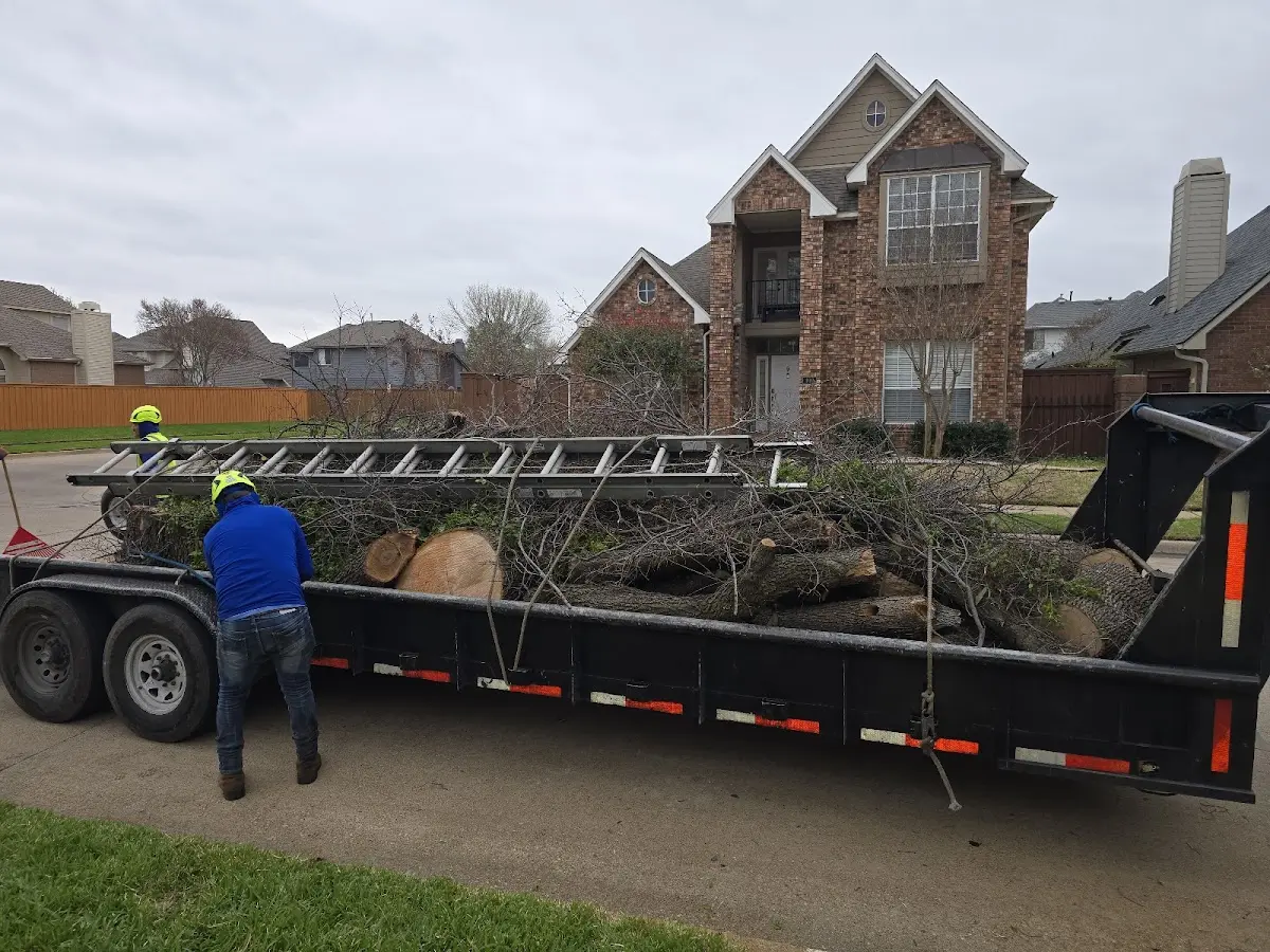 Expert Tree Fertilization with proper safety equipment in Effingham